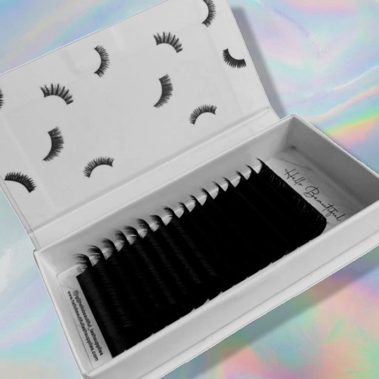 XL Easy Fanning Lashes